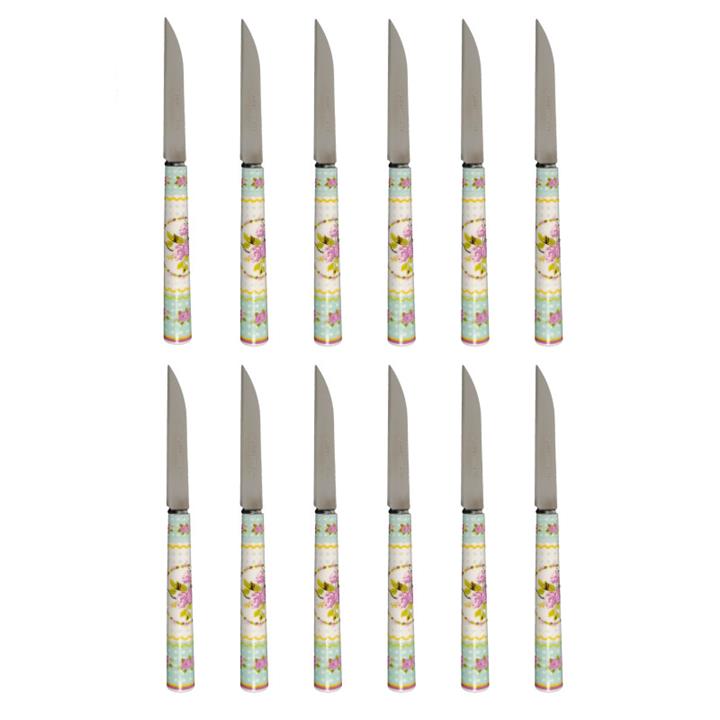 کارد میوه خوری دی ام جی مدل ROYAL-T بسته 12 عددی